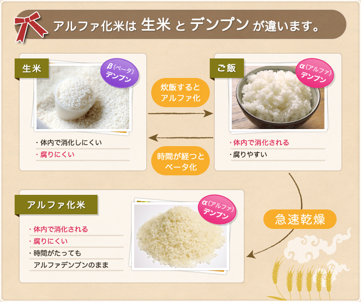 アルファ化米は生米とデンプンが違います。